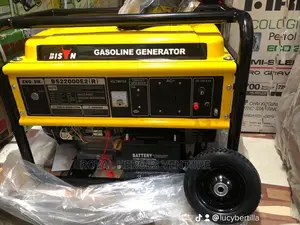 Bison Generator 12kva Bs22000es