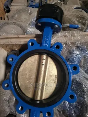 Butterfly Valve
