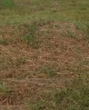 100 Hectares Dry Level Land For Sale