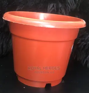 Flower Pot