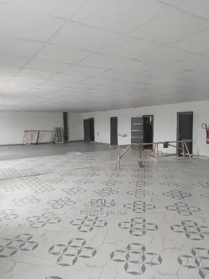 Suspended Ceilings.