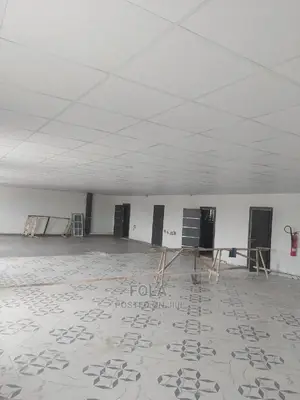 Suspended Ceilings.