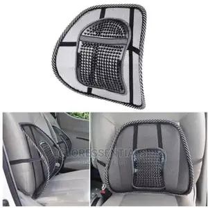Car Seat and Cushion Back Support