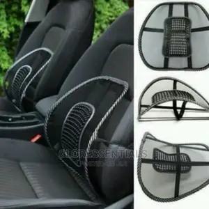 Car Seat and Cushion Back Support