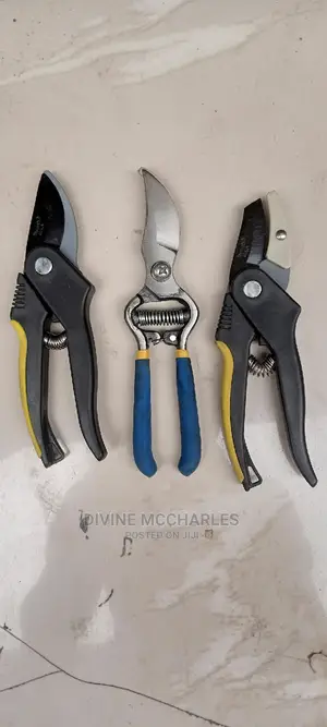 Trimming Scissor