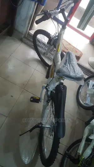Adult Cycling Bike