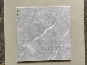 Goodwill 40*40 Floor Tile