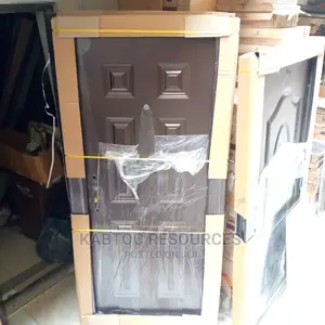 Mordern Standard Steel Door