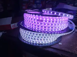 1 Roll Single Color Tape Light