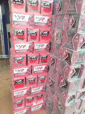 Two Year's Original Korea Battery