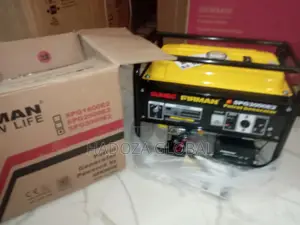 Buy Brand New Sumec Firman Spg3000e2 5.5kva Automatic