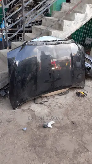 Bonnet Toyota Tundra 2010 2012