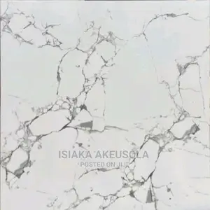 60 X 60 Polished Floor Tiles