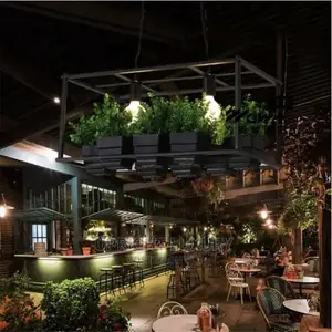 Pendant Light