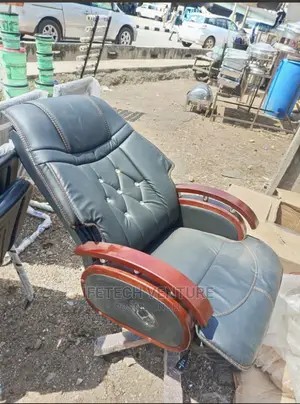 Original Bravula Leather Chair