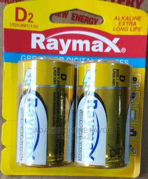 Raymax D2 Alkaline Battery