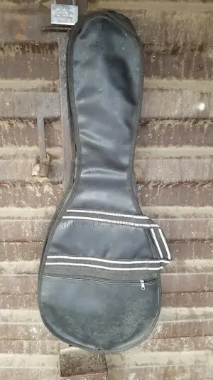 Thick Padding Waterproof Leather Lead Guitar Bag