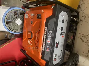Shineray Automatic Generator 22600E2