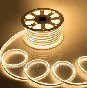Neon Strip LED Lights