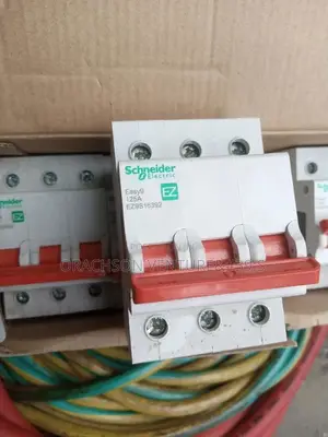 125amps Main Control Schneider