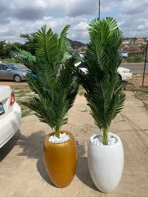 Palms Tree Plant and Pot Green Flower 4ft