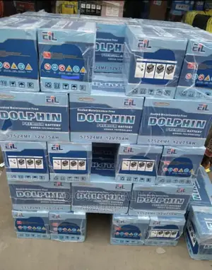 Quality Battery 75ahs Dolphin