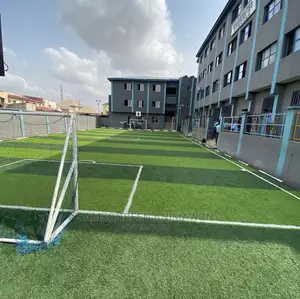 Quality Football Artificial Grass