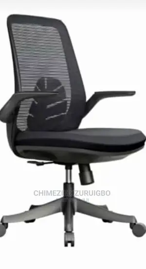 Mesh Ergonomic Swivel Chair With Adjustable Arm Rest