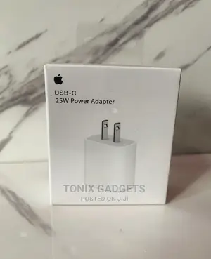 2 Pin iPhone Charger Adapter