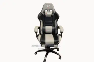 Office/Gaming Chair
