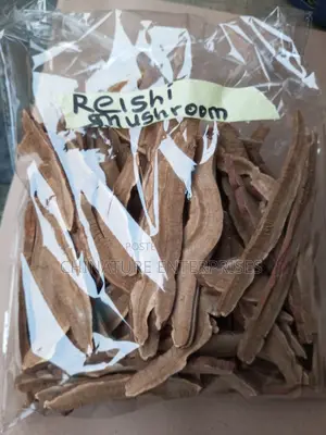 REISHI / GYNODERMA Raw 200gm