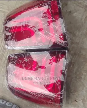 Back Light