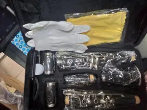 Professional Yamaha Clarinet