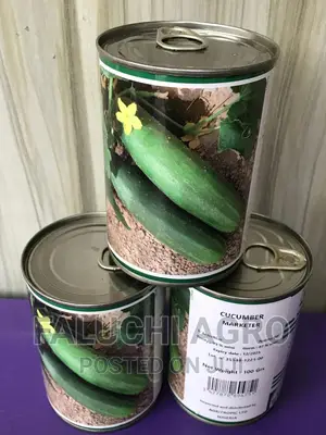 Technism Hybrid Cucumber Seed (100 Grams)