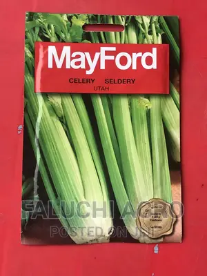 Celery Seeds