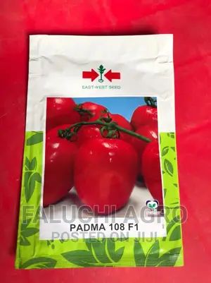 Padma 108 F1 Tomato Seed -5g