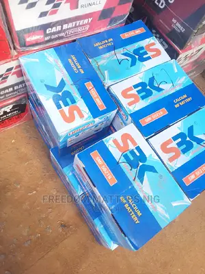 Original Jeep/Car Battery