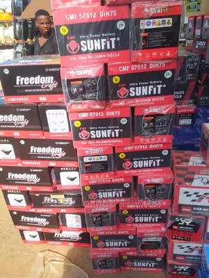 Origiinal Car Battery