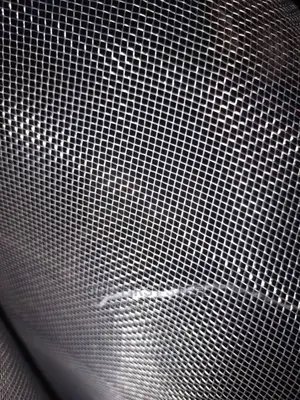 Stainless Mesh 8