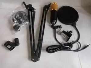Orginal Studio Condenser Microphones With Complete Component