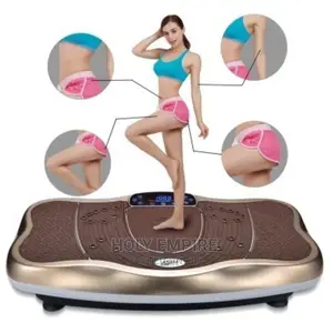 Vibration Full Body Massage Machine