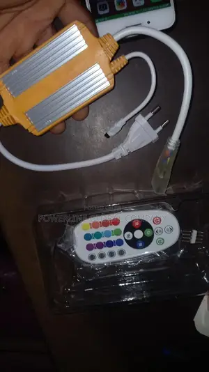 Remote for Mutilple Colour Neon Light/ Rope Light for Homes