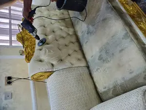 Couch, Sofa, Rug Cleaning