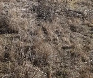 One and a Half Plot of Land Very Nice at Obawole