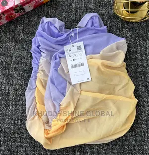 Zara Tulle Corset Tube Dress