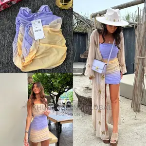 Zara Tulle Corset Tube Dress