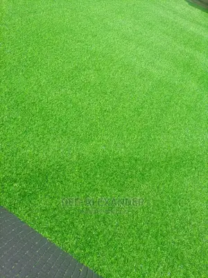 Artificial Grass