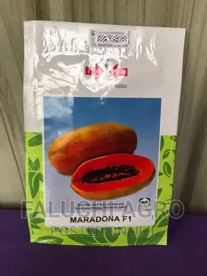 Hybrid Dwarf Pawpaw Seed ( 100 Seeds)