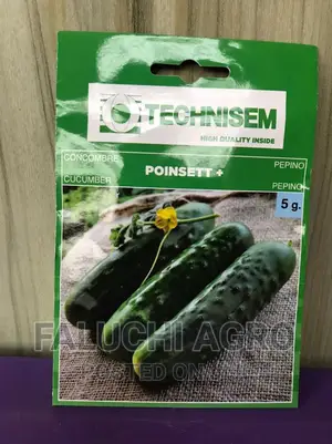 Hybrid Cucumber Seed Poinsett + ( 5g )