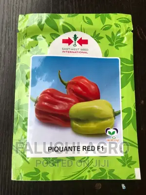 Hybrid Hot Red Pepper Seed (Piquante F1, 500 Seeds)